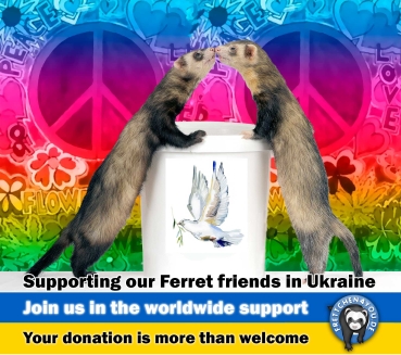 Futterspende für UKRAINE